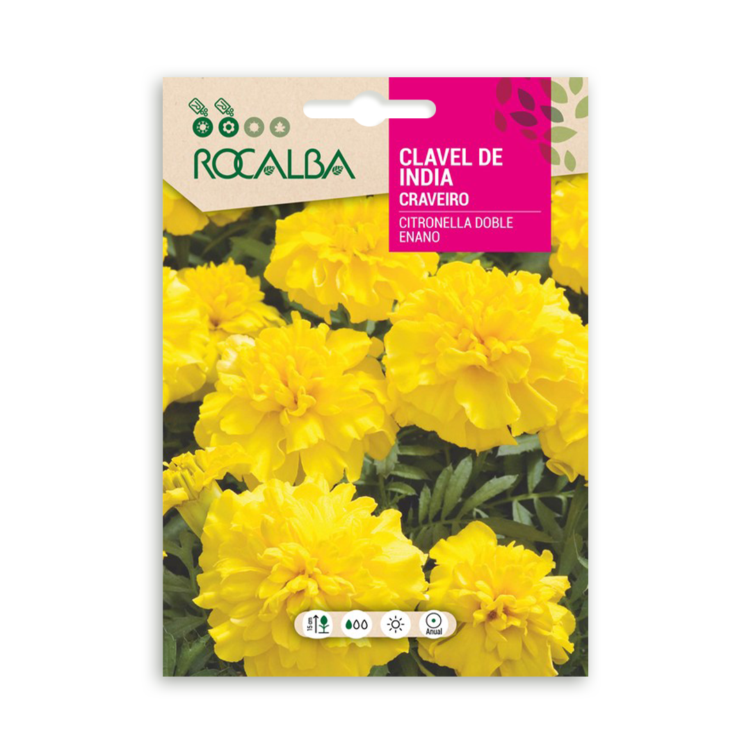 Semillas de Clavel de India Citronella Doble Enano - Imagen 2