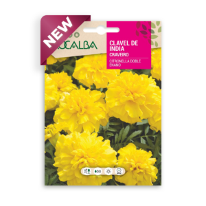 Semillas de Clavel de India Citronella Doble Enano
