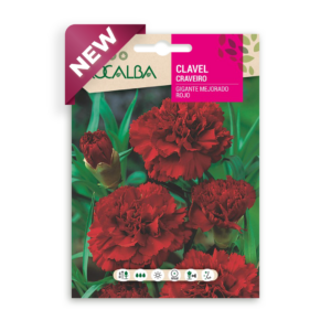 Semillas de Clavel Gigante Mejorado Rojo