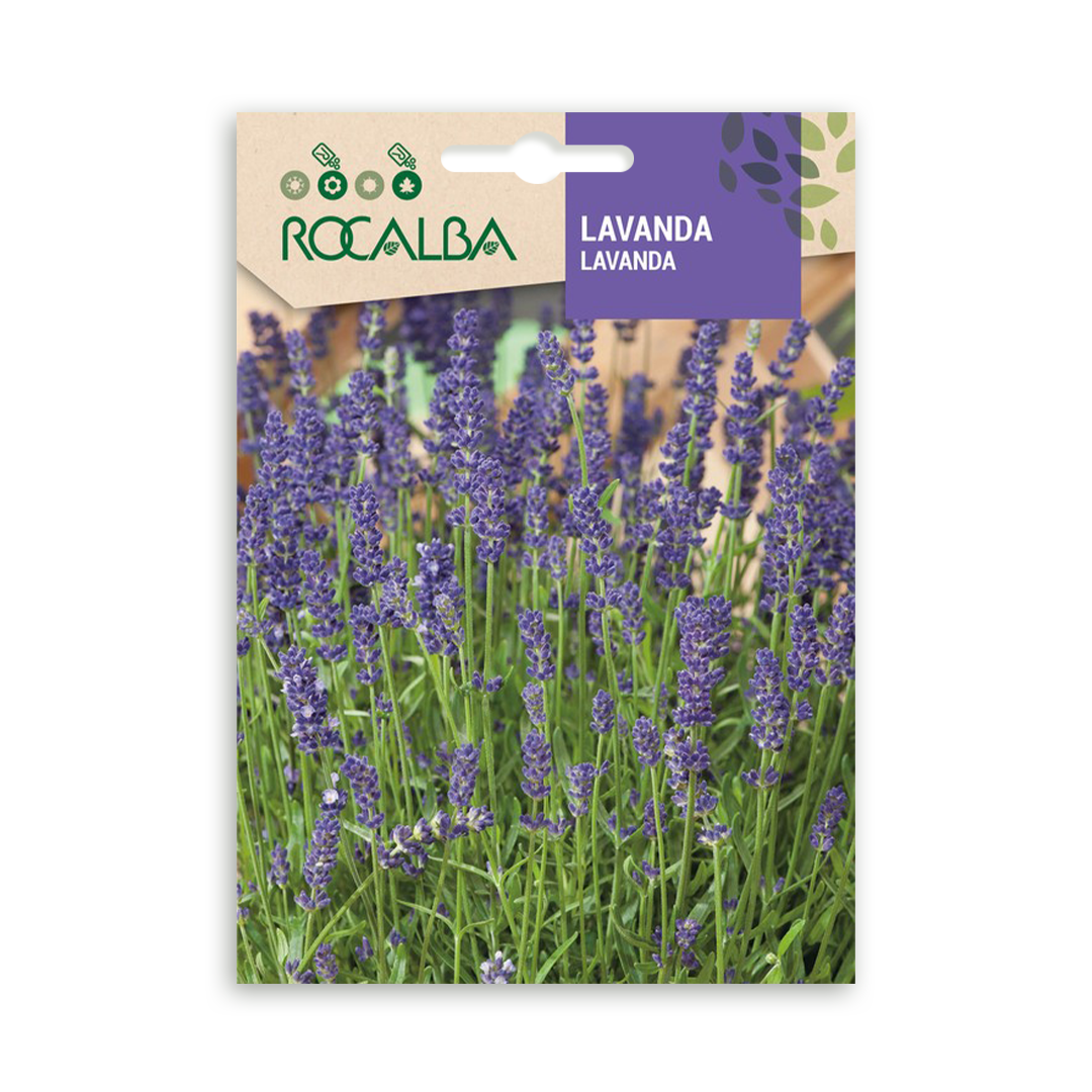 Semillas de Lavanda Rocalba - Imagen 2