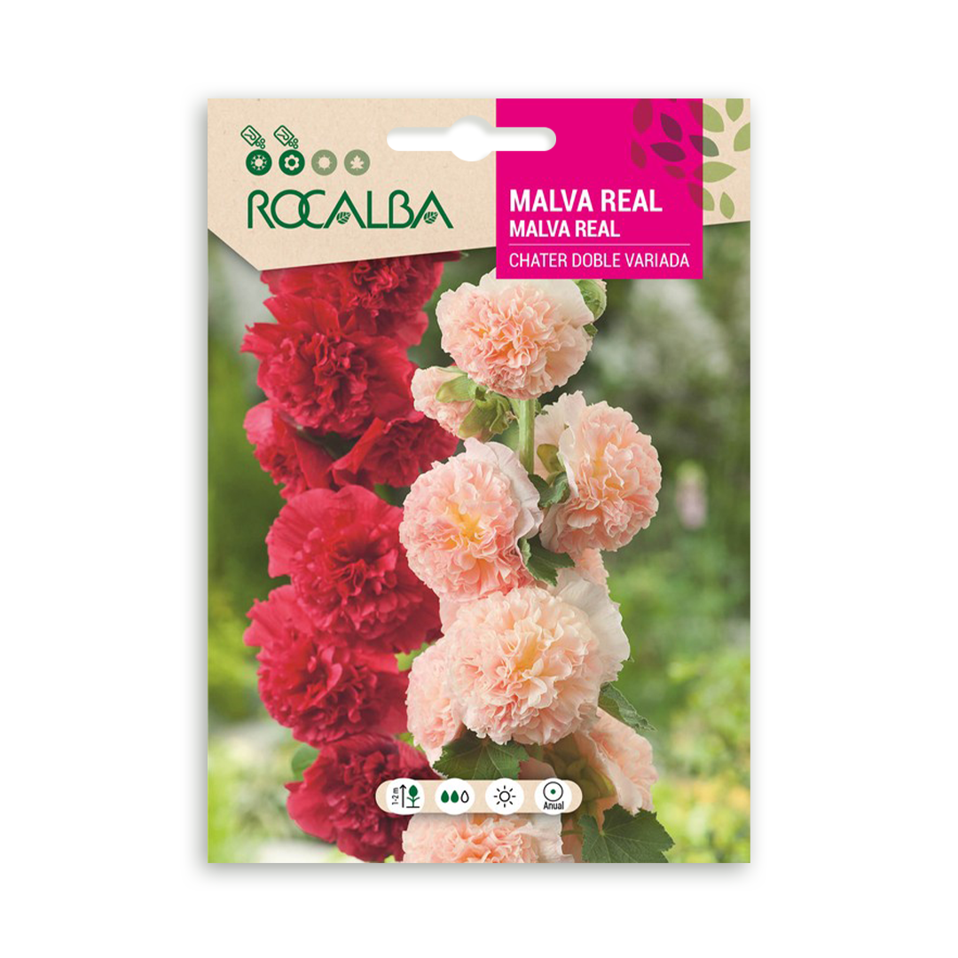 Semillas de Malva Real Chater Doble Variada - Imagen 2
