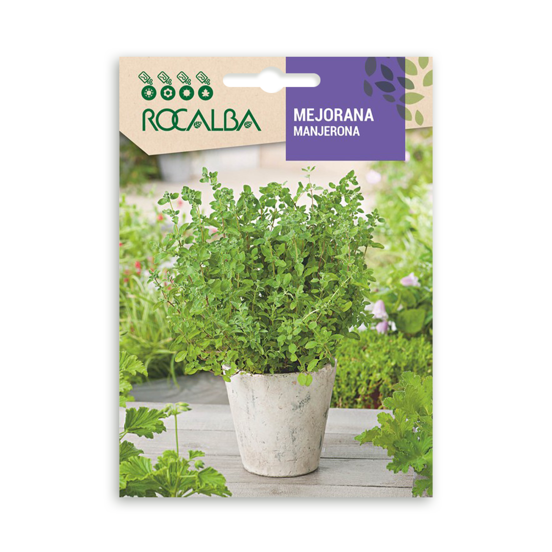 Semillas de Mejorana Rocalba - Imagen 2